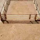 شد او هنقلين ددسن غماره