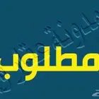 مطلوب أراضي بالقطيف