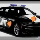 شركة حراسات امنيه شركة امنية