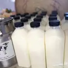 حليب ماعز طازج لبن روب زبادي