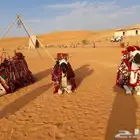أستأجر خيول وجمال