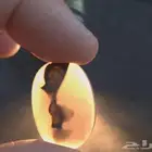 سبحان الله نوادر النوادر - ع ف ر ي ت