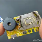 صوت مقلب لبعض الحشرات