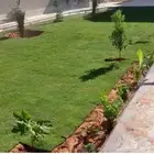 تنسيق الحدائق الطبيعي