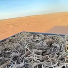 حطب