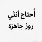 احتاج انثى روز جاهزه