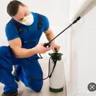 مكافحة حشرات رش صراصير بالمدينة المنورة