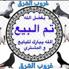 للبيع حمام جمله