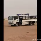 دنه ونش لتحميل الابل والمكائين وغيرها