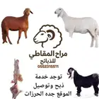 للبيع ذبايح حريه