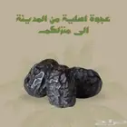 عجوة تمر من المدينه
