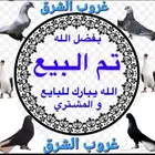 فحل منتج