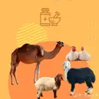 فرصة استثمارية (صيدليات بيطرية)