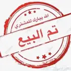 طير بغبغاء الدرة انثى عمرها 2 ونص جاهزة لتزاوج غير اليف