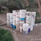 سطول فاضي