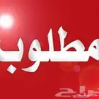 مطلوب شقه للايجار في الدهاس او معترض