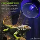 لمبة حرارية ليلية للزواحف والسلاحف moon light