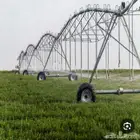 مطلوب ممول شريك حجازي 20 هكتار مساحه كبيره تنتجتنتجهر 130