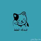 فندقه قطط