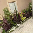 تنسيق حدايق واحواش فلل