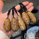 عود الصليب المغربي