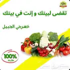 اعلانات لوقو cv عربي CV EN
