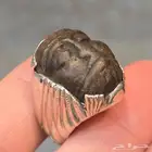 خاتم الهبهاب منحوت شكل وجه