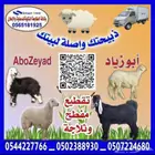 ذببحتك واصل لبيتك