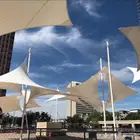 مضلات النخبه