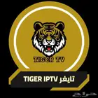 اشتراك تايجر 12 شهر