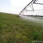 اشتغل مزراعه مكينه كدر فلفوه غطاس كهربا اشتغل في أسواق اب
