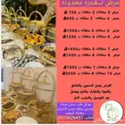 بوفيهات ام جود