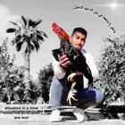دجاج شامو الماني