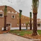 نخل للبيع جميع النواع انخل العربي سكري إخلاص برحي صقعي مجدول