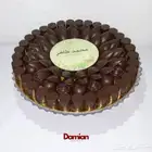 شوكولاتة بلجيكية شوكولاتة مواليد