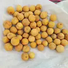 ليمون اصفر يمني 700كيس للبيع