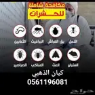 شركة مكافحة حشرات بالمدينة رش بق فراش النمل والصراصير والوزغ