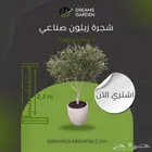 اشجار زيتون صناعي