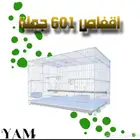 اقفاص 601 جملة