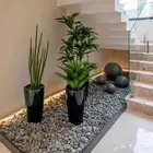 تنسيق حدائق غرف زوجاجيه شلالات نوافير عشب نخل ممرات درج