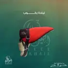 عدة خيل