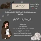 فندقة قطط