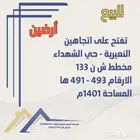 للبيع ارضين بالشهداء النعيرية