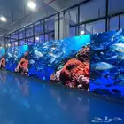 شاشات اعلانيه للعرض شاشات led داخليه وخارجيه شاشات عرض