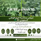 شتلات بخصومات مميزة ومنافسة