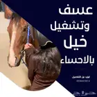عسف وتشغيل خيل بالاحساء