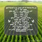 مزرعة مساحة 55 الف في الزبائر للبيع