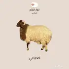 بيع ذبايح دفعات عن طريق تمارا