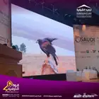 تأجير شاشات بأسعار مناسبة