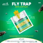 مصمم جرافيك